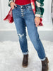 Easy Rider - Judy Blue Button Fly Boyfriend Destroyed Jeans