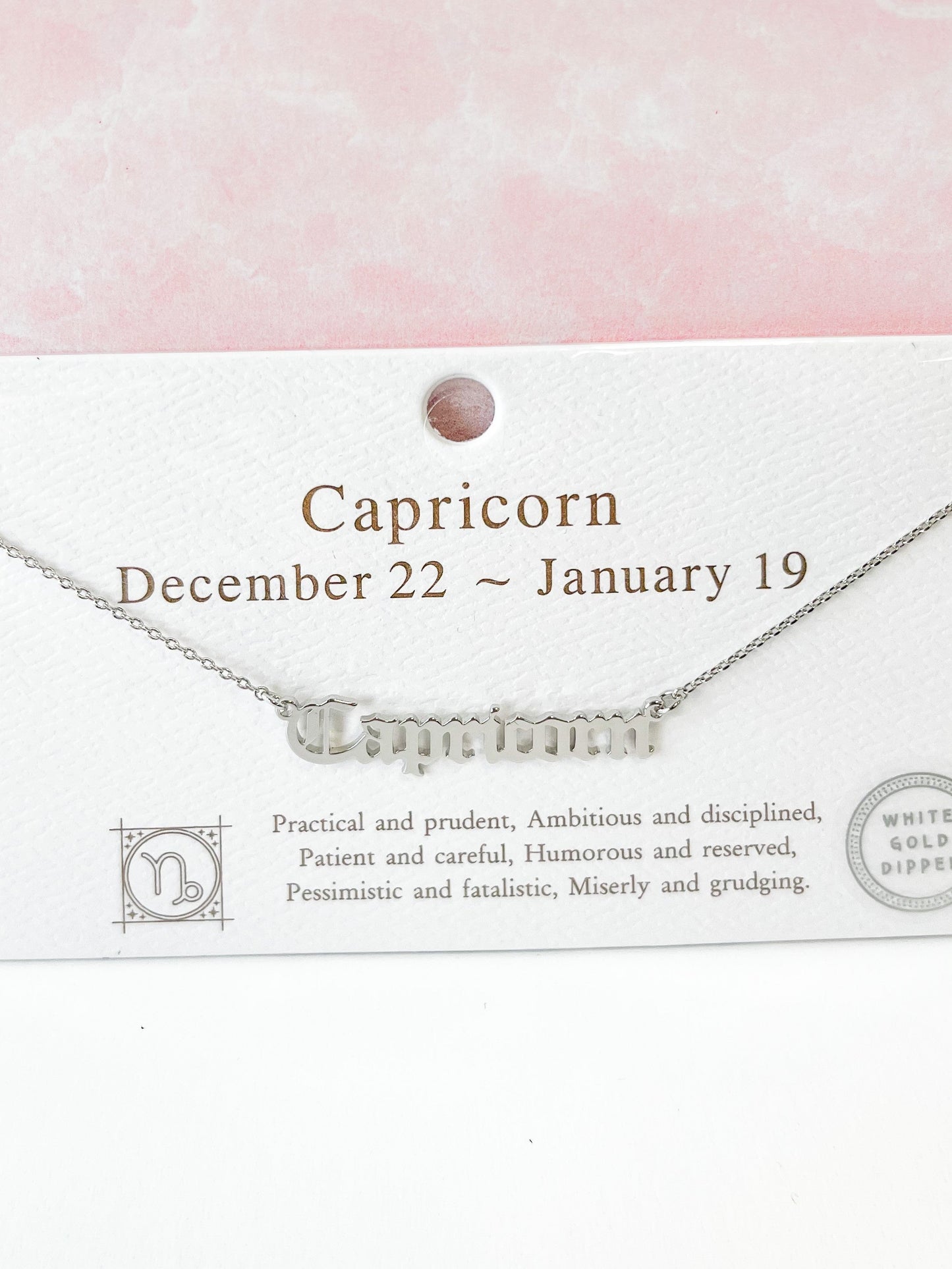 White Gold Dipped Zodiac Sign Necklace  - Final Sale