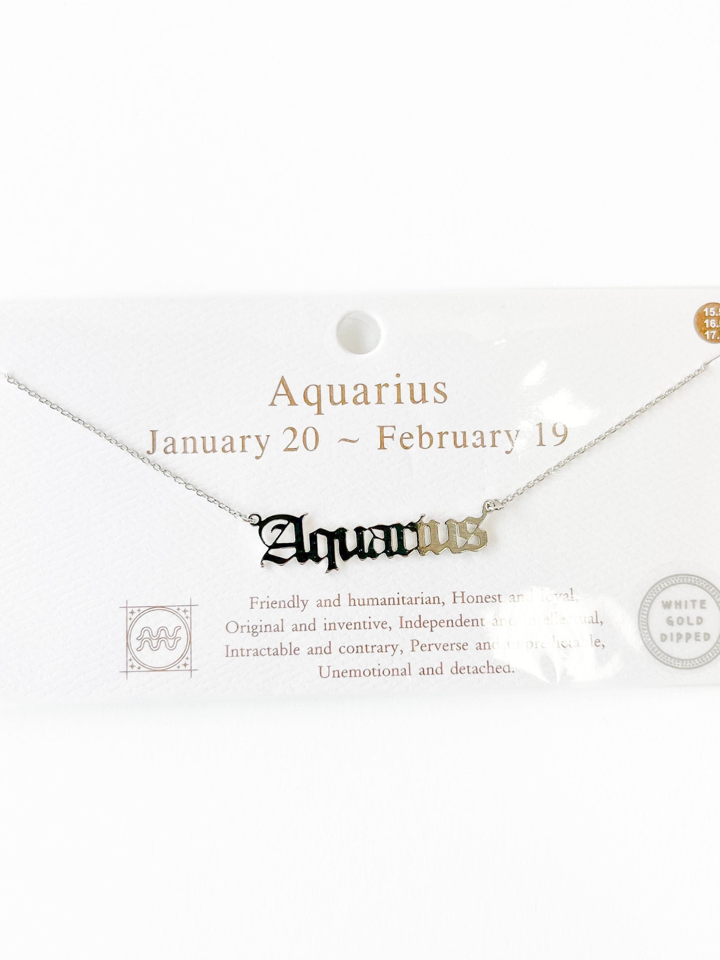 White Gold Dipped Zodiac Sign Necklace  - Final Sale