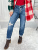 Easy Rider - Judy Blue Button Fly Boyfriend Destroyed Jeans