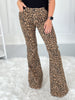 Nine Lives - Judy Blue Leopard Flare Jean