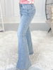 All That Bling - Judy Blue Rhinestone Flare Jeans