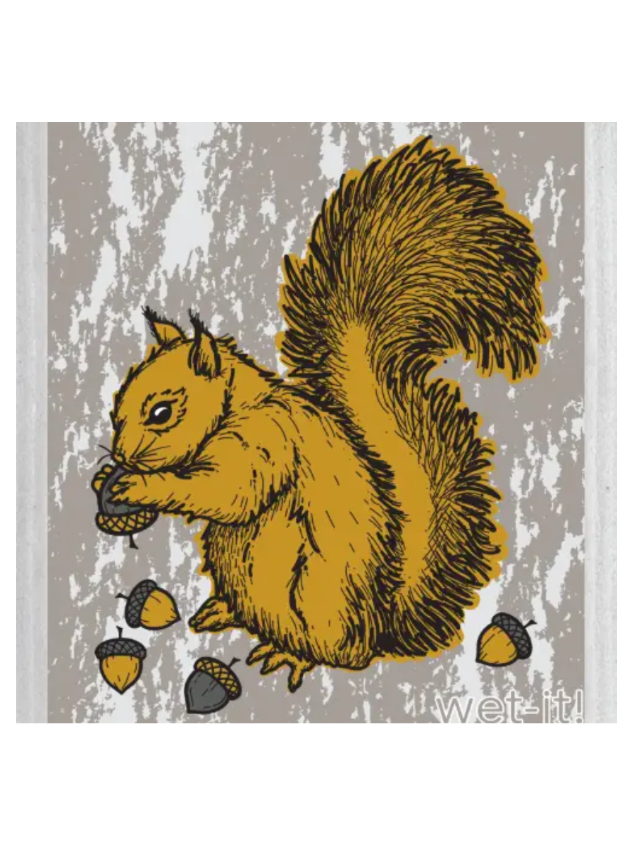 Wet It! Dish Cloth - Squirrel